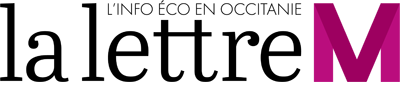 Logo La lettre M
